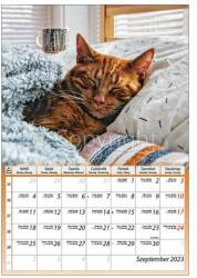 Dayliner Calendar de perete Dayliner Pisicuțe 230x330mm (DL4FA-CIB4)