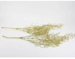 Longleaf asparagus mica gold 2buc/mpachet (7953)