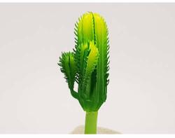  Cactus 12cm (0437)