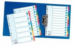 Esselte Registru color ESSELTE "Standard" A4 din carton cu 5 piese, cu față inscriptibilă (100191)