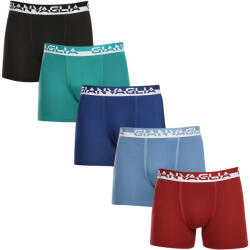 Gianvaglia 5PACK többszínű Gianvaglia férfi boxeralsó (GVG-5011) XL