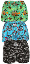 Styx női bő szárú boxeralsók Styx art klasszikus gumipánt többszínű (3K15782) 3XL