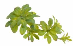  Sukulent artificial pentru aranjamente florale (3806)
