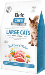 Brit Cat Grain-Free Large Cats Power & Vitality 0.4 kg