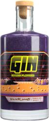 Galactic Gin 43% 0, 7L - ginshop