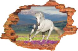 iPrint Sticker "Wall Crack" Horse 12 - 120 x 80 cm (AVX-CRACK-231)