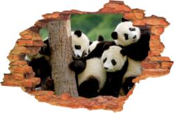 iPrint Sticker "Wall Crack" Panda 5 - 120 x 80 cm (AVX-CRACK-365)