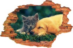 iPrint Sticker "Wall Crack" Dog Cat 14 - 120 x 80 cm (AVX-CRACK-154)