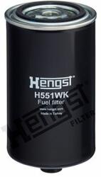 Hengst Filter filtru combustibil HENGST FILTER H551WK D699 (H551WK D699) - automobilus