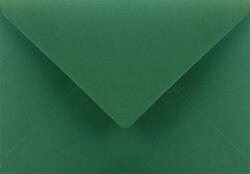  Plicuri decorative colorate C5 16, 2x22, 9 NK Sirio Color Foglia verde închis 115g