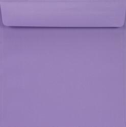 Netuno Plicuri decorative colorate pătrate K4 15, 5x15, 5 HK Burano Violet violet 90g