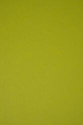 ArjoWiggins Hârtie decorativă colorată ecologică Keaykolour 300g Kiwi verde 70x100 R100 1 buc