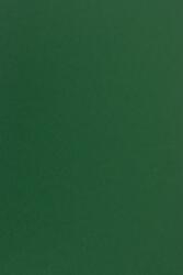 Fedrigoni Hârtie decorativă colorată simplă Sirio Color 170g Foglia verde închis buc. 20A4