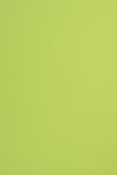 Fedrigoni Hârtie decorativă colorată simplă Sirio Color 210g Lime verde deshis buc. 25A4