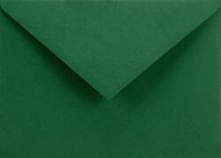 Netuno Plicuri decorative colorate C6 11, 4x16, 2 NK Sirio Color Foglia verde închis 115g