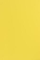 Fedrigoni Hârtie decorativă colorată simplă Sirio Color 170g Limone galben 70x100 R200 1 buc