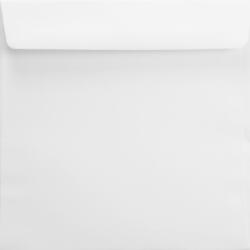 Netuno Plicuri decorative pătrate K4 15, 6x15, 6 NK Splendorgel alb 120g