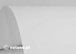 Favini Hârtie simplă decorativă Biancoflash Premium ACC 500g White alb 71x101 R50 1 buc