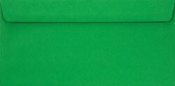 Netuno Plicuri decorative colorate DL 11x22 HK Burano Verde Bandiera verde 90g