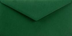 Netuno Plicuri decorative colorate DL 11x22 NK Sirio Color Foglia verde închis 115g