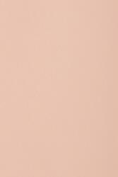 Favini Hârtie decorativă colorată simplă Burano 250g B10 Rosa roz 70x100 R125 1 buc
