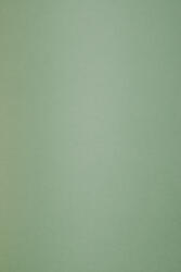 ArjoWiggins Hârtie decorativă colorată ecologică Keaykolour 300g Matcha Tea verde 70x100 R100 1 buc