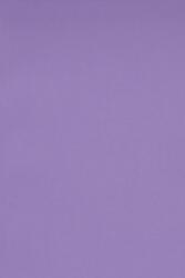 Favini Hârtie decorativă colorată simplă Burano 250g B49 Violet violet 70x100 R125 1 buc