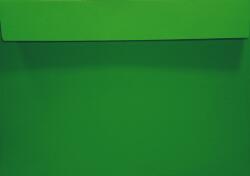 Netuno Plicuri decorative colorate C5 16, 2x22, 9 HK Design verde 120g