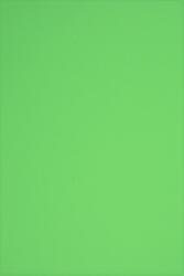  Hârtie decorativă colorată simplă Rainbow 160g R76 verde buc. 250A4