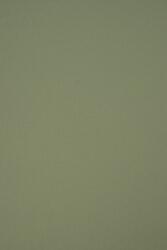 Favini Hârtie decorativă colorată ecologică Materica 360g Verdigris verde 72x102 R75 1 buc