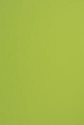Fedrigoni Hârtie decorativă colorată simplă Sirio Color 115g Lime verde deshis buc. 50A4