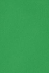 Favini Hârtie decorativă colorată simplă Burano 250g B60 Verde Bandiera verde 70x100 R125 1 buc