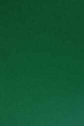 Fedrigoni Hârtie decorativă colorată simplă Sirio Color 210g Foglia verde închis 70x100 R125 1 buc