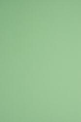 Fedrigoni Hârtie decorativă colorată ecologică Woodstock 170g Verde verde 70x100 R200 1 buc