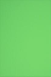 Hârtie decorativă colorată simplă Rainbow 230g R76 verde buc. 10A3