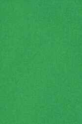  Hârtie decorativă colorată simplă Burano 250g Verde Bandiera B60 verde buc. 10A5