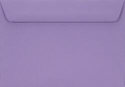 Netuno Plicuri decorative colorate C6 11, 4x16, 2 HK Burano Violet violet 90g