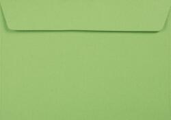 Netuno Plicuri decorative colorate ecologică C6 11, 4x16, 2 HK Kreative Apple verde 120g