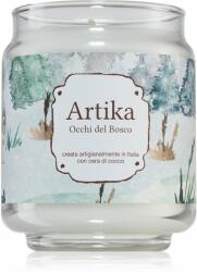 FRALAB Artika Occhi Del Bosco lumânare parfumată 190 g