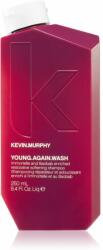 KEVIN.MURPHY Young Again Wash șampon regenerator 250 ml