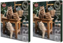 TRIXIE Premio Calendar Advent cu recompense pisici x 2