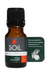 SOil Romania Ulei Esential Pin Pur 100% Organic, 10 ml, SOiL