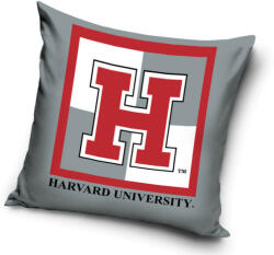 Harvard Univercity párnahuzat 40x40 cm - lord