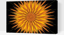 Festés számok szerint - Absztrakt virág Méret: 40x60cm, Keretezés: Keret nélkül (csak a vászon) - tefestetted - 7 900 Ft