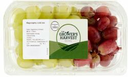 TESCO The Grower's Harvest magszegény szőlő mix 500 g
