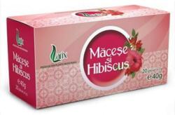 Larix Macese si hibiscus 20 plicuri
