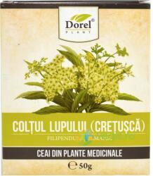 Dorel Plant Coltul lupului cretusca 50 g