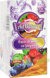 AdNatura Fructe de padure cu ginseng 20 plicuri