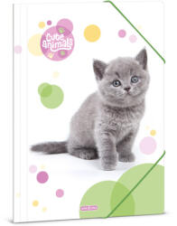 Ars Una Ars Una: Cute Animals - Brit rövidszőrű macska gumis mappa A/4-es méret (50213054)