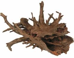 AquaNet Corbo Root gyökér L / 50-70 cm (AQNDEK4785)